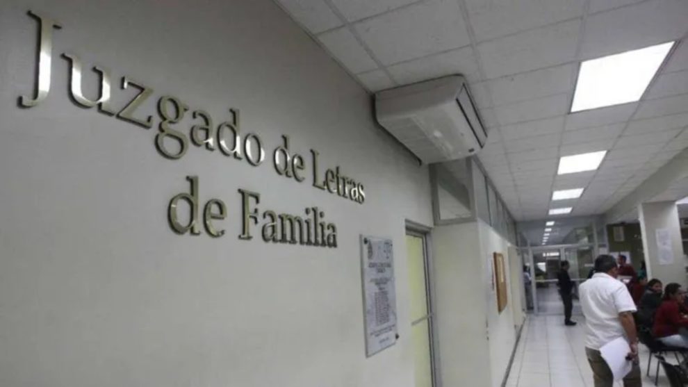 Hondureño figura por primera vez en Registro de Deudores Alimentarios con deuda de L87 mil