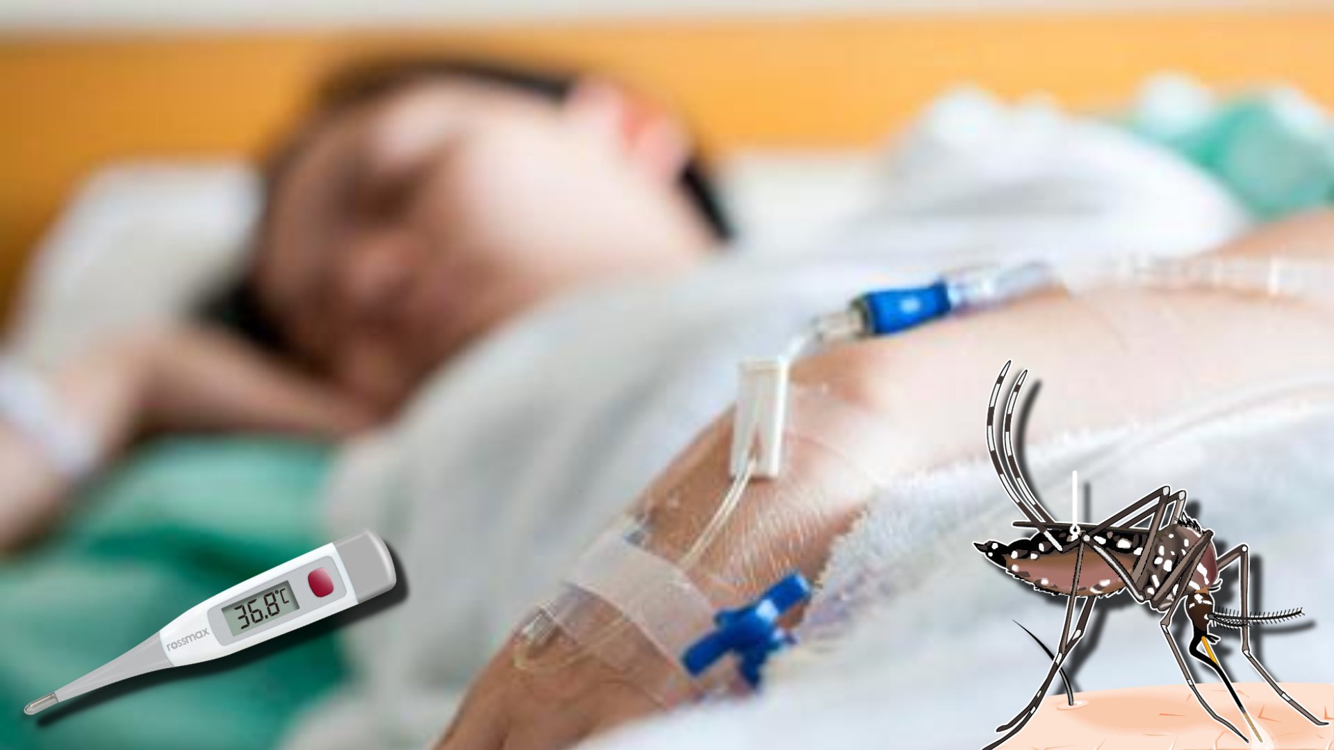 ¿Qué hacer para no desarrollar dengue grave?