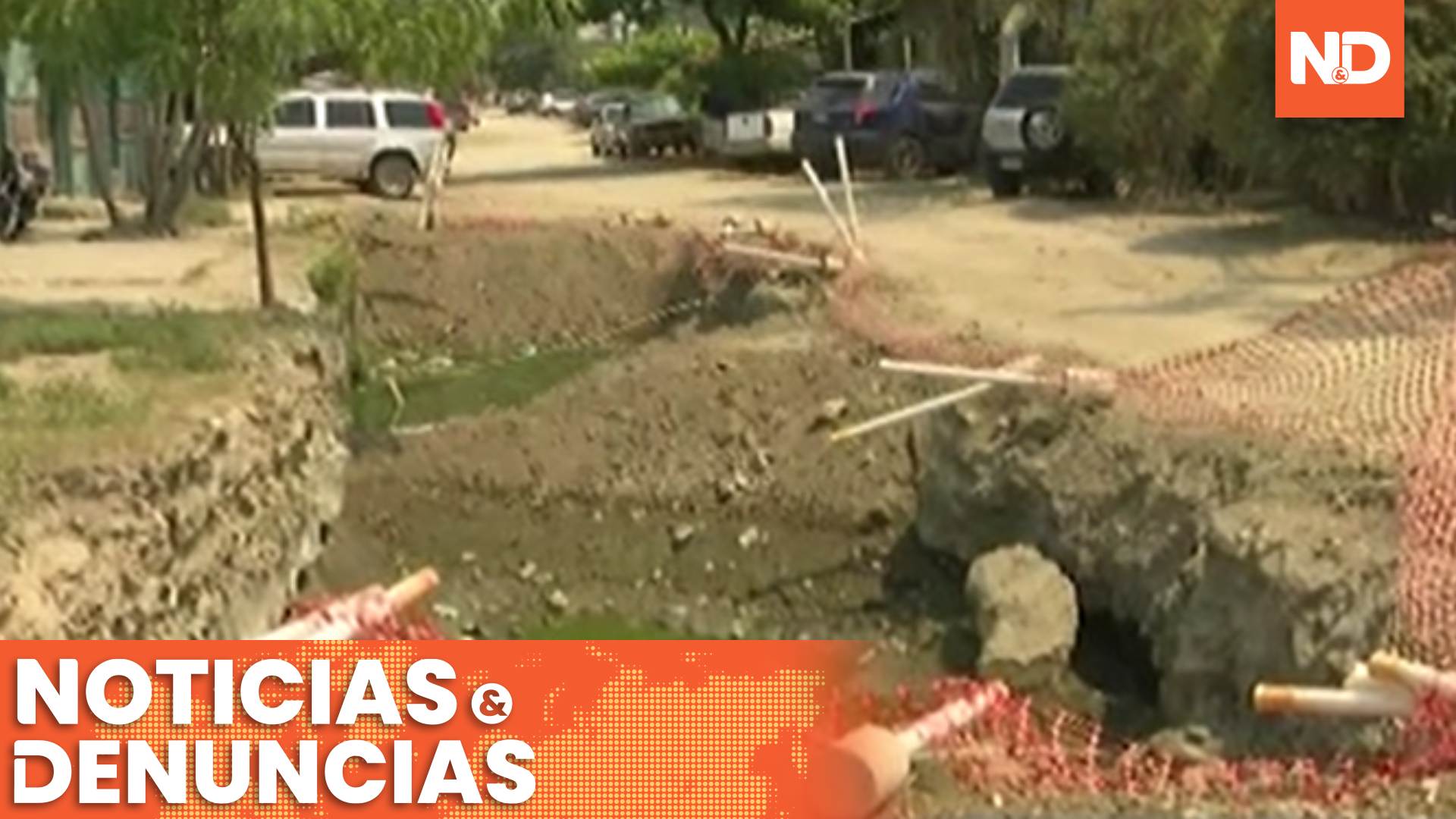zancudos