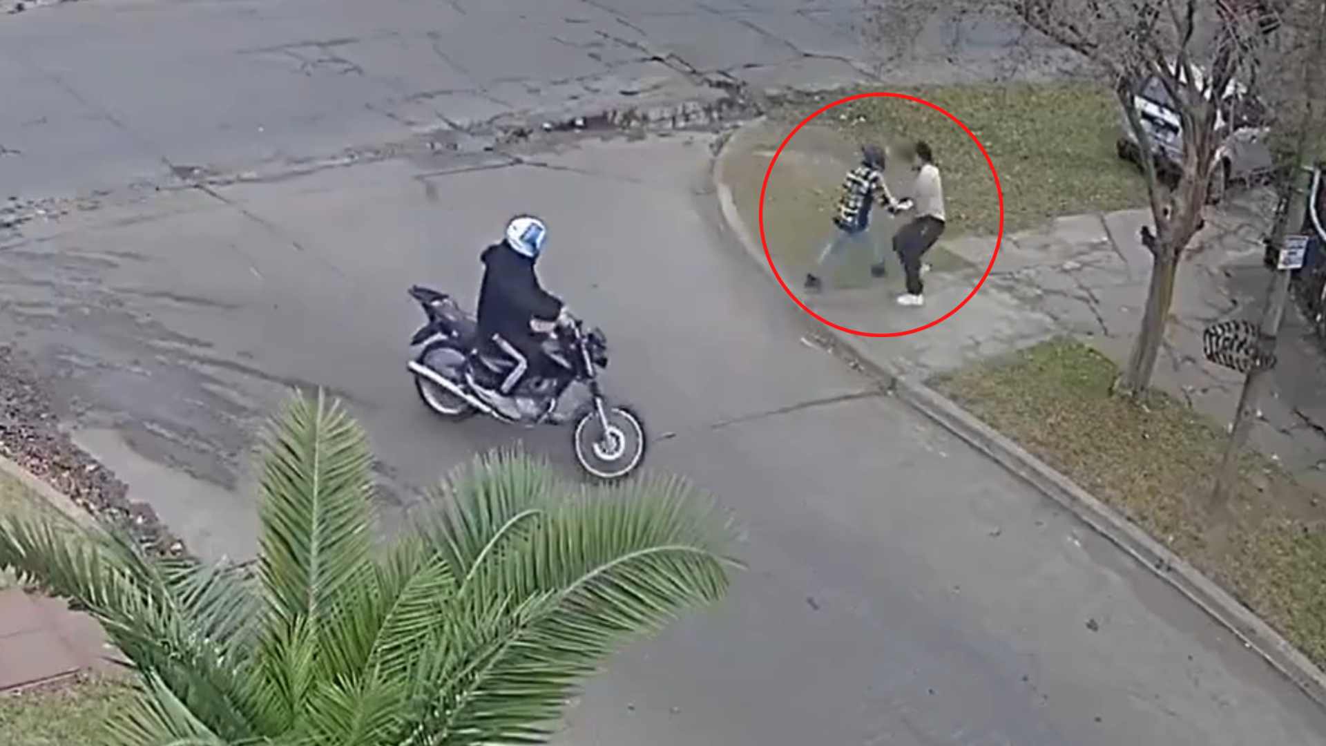VIDEO | Delincuentes asaltan a mujer sin saber que era policía 