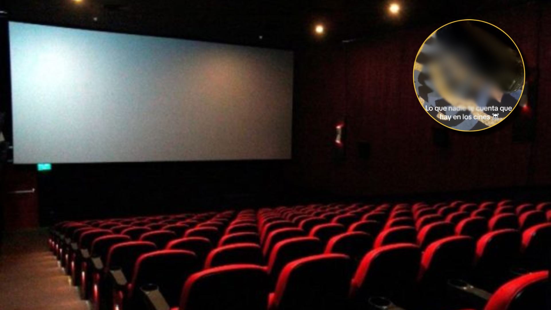 No creerás el animal que encontraron en plena sala de cine