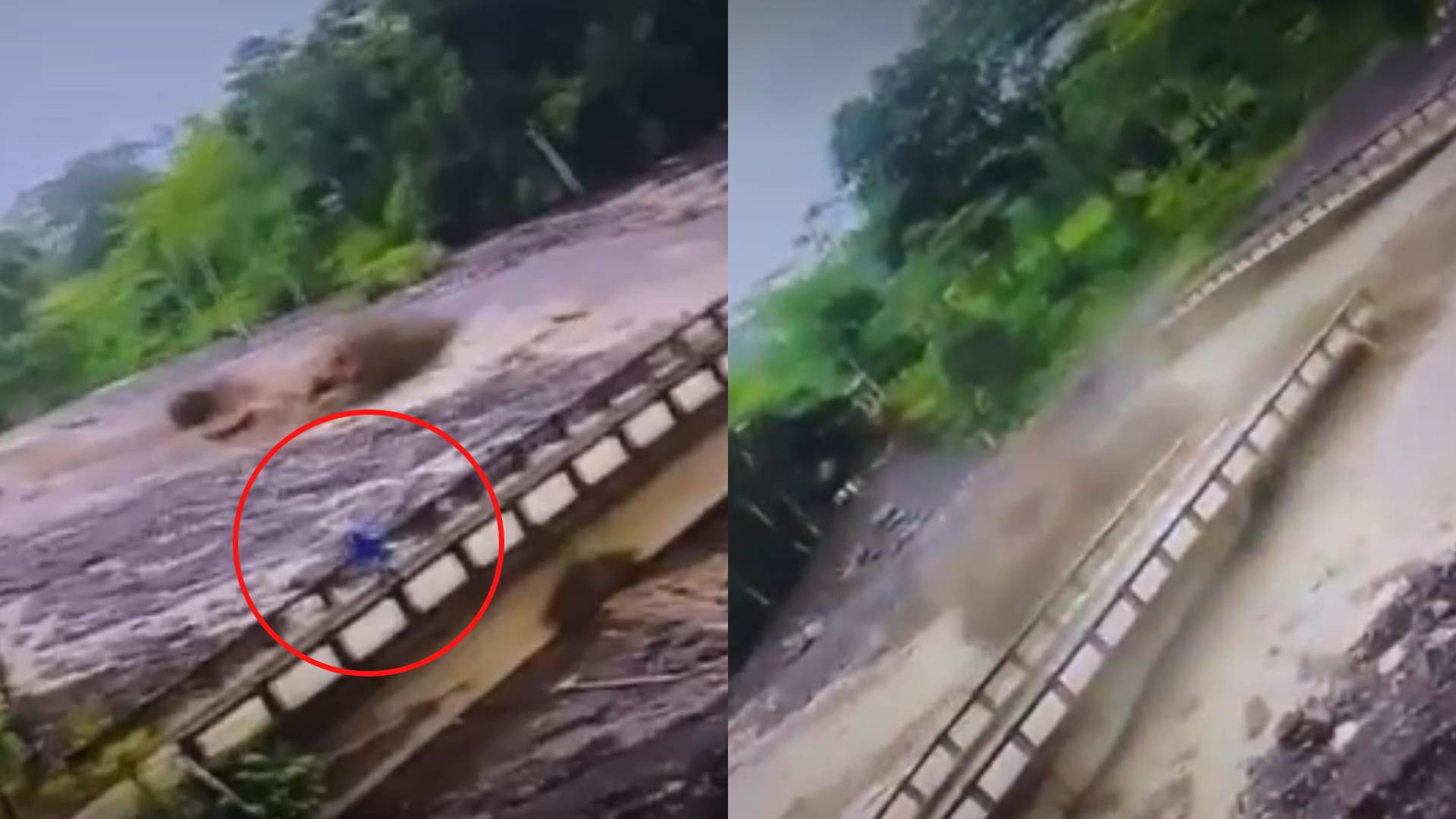 VIDEO | Campesino libra la muerte por crecida de río