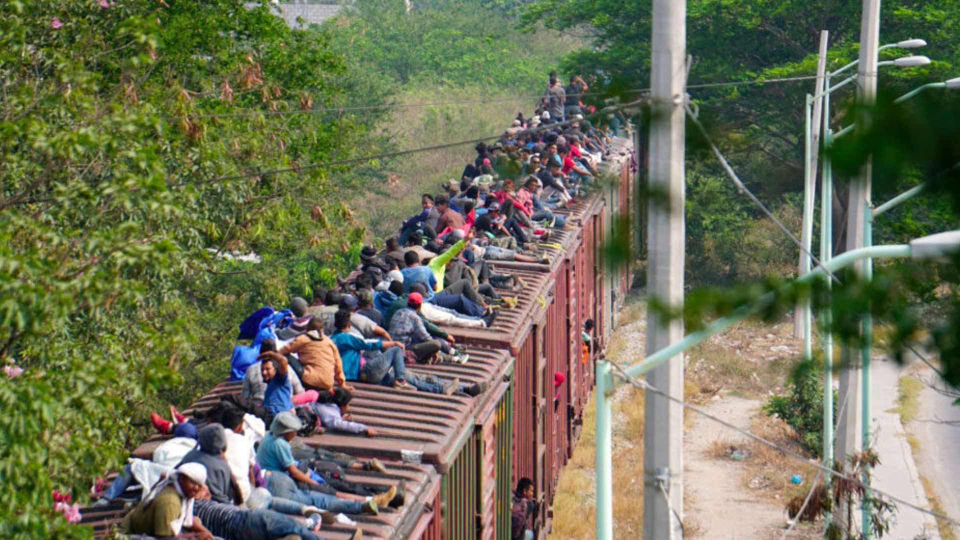 migración
