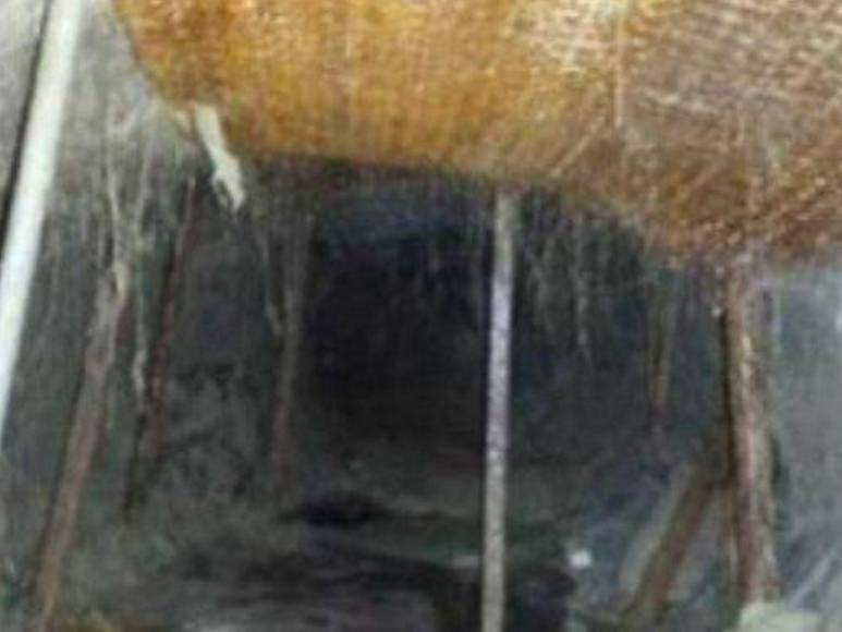 Támara