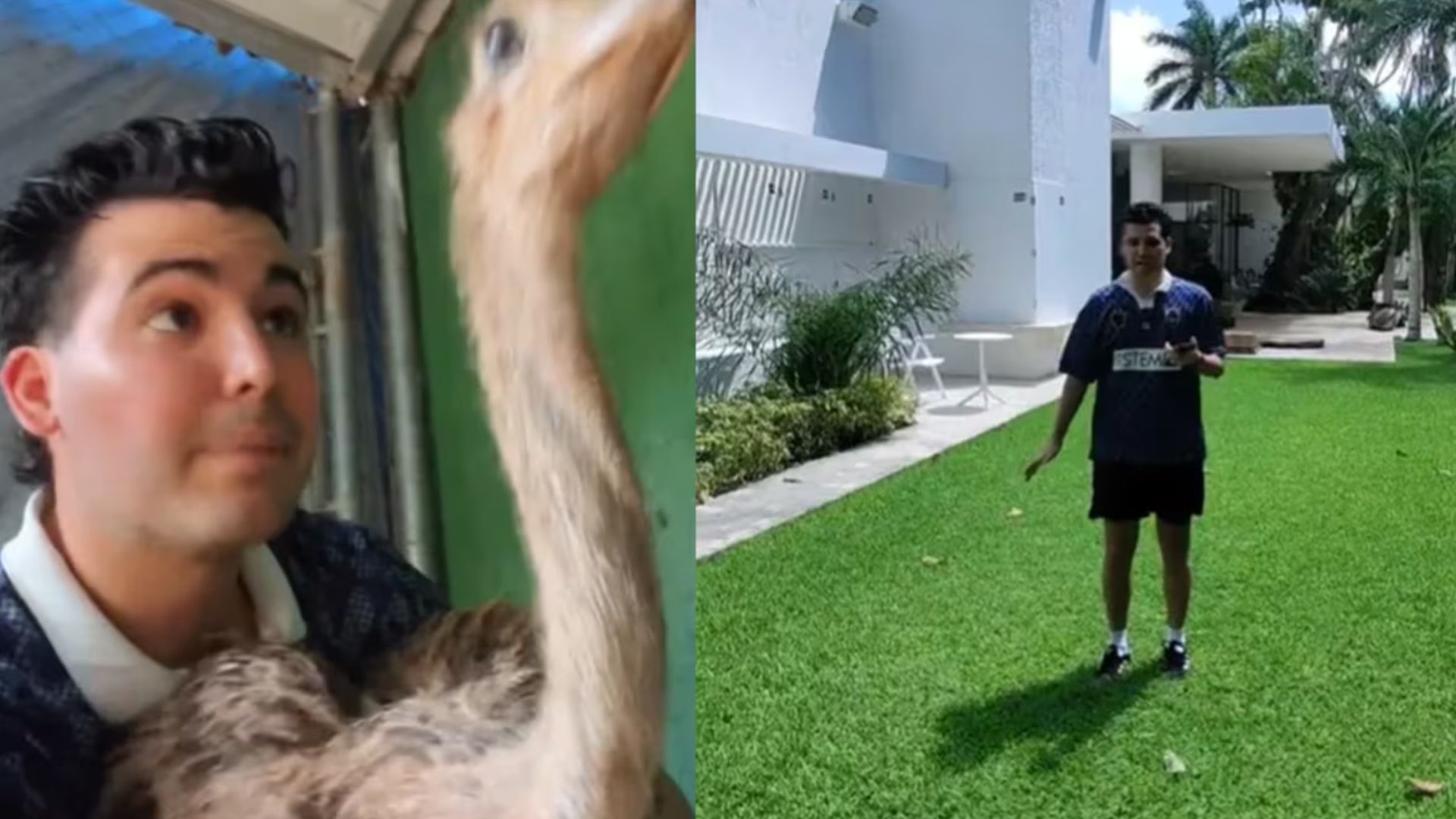 Para resguardar a sus animales, un mexicano creó diferentes zonas de seguridad para ellos.