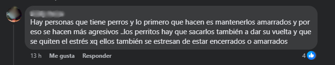 Duras medidas contra los perros pitbull solicitan hondureños