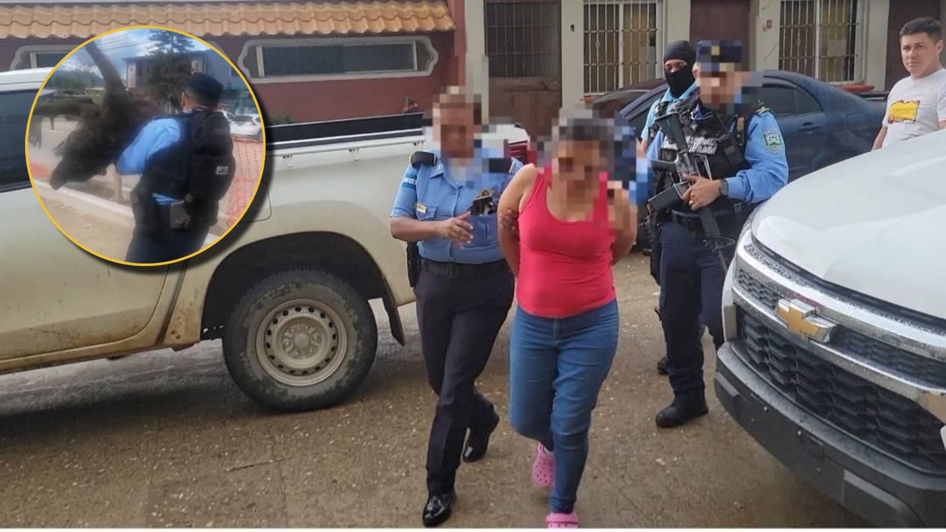 Maltrato animal en Honduras