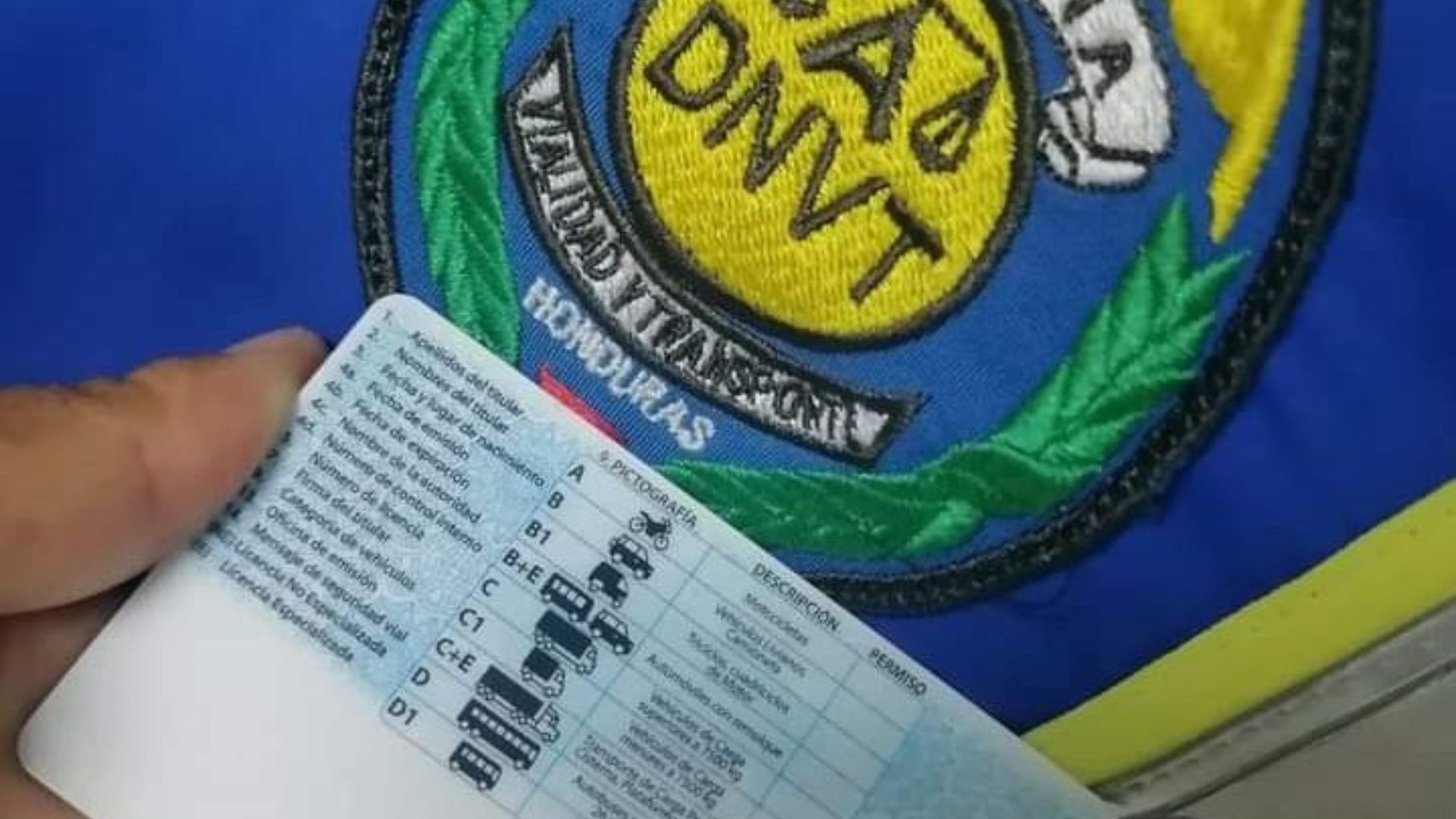 La Dirección Nacional de Vialidad y Transporte (DNVT) explica los requisitos específicos y procedimientos para realizar cualquier trámite.