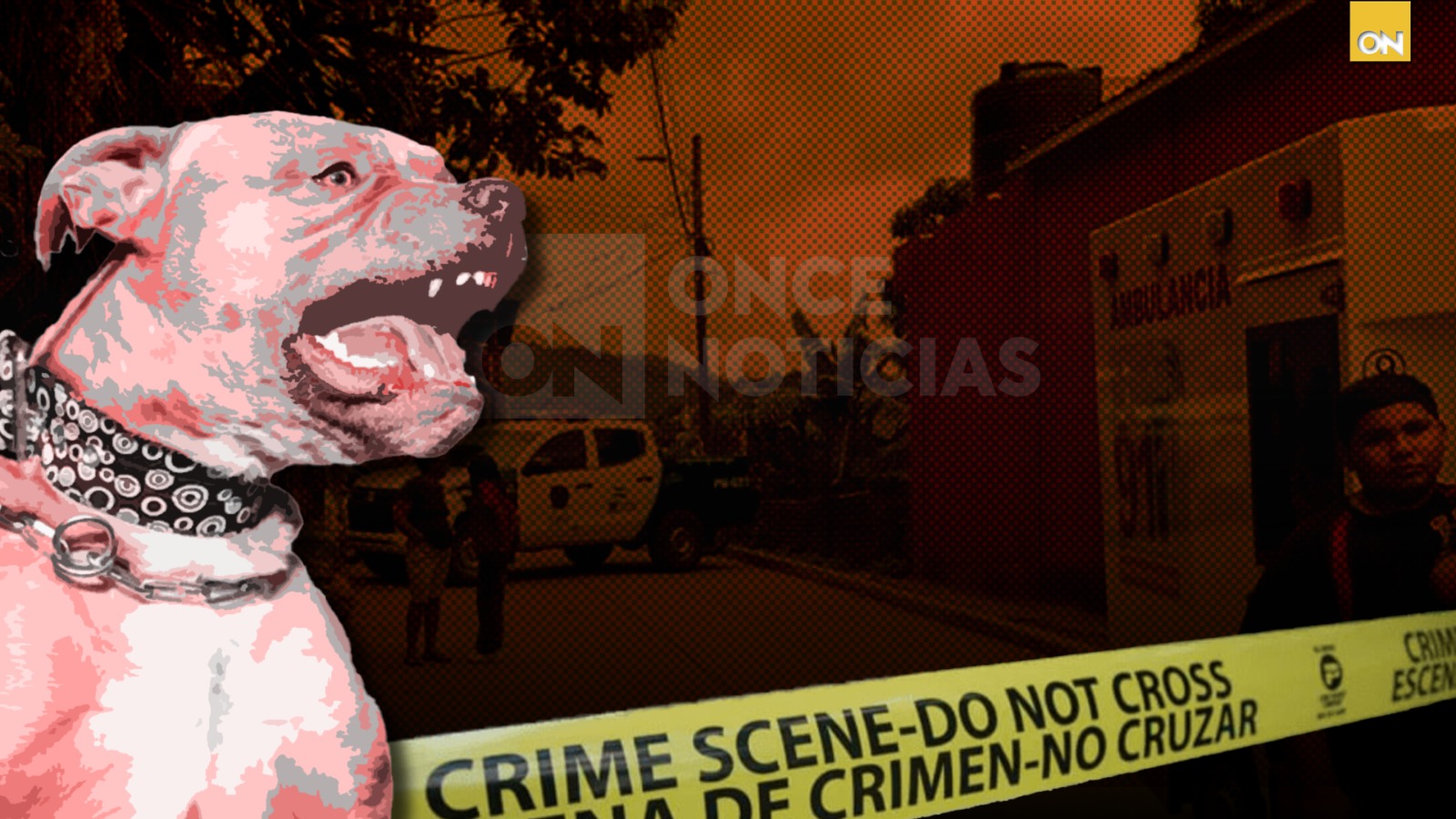 pitbull