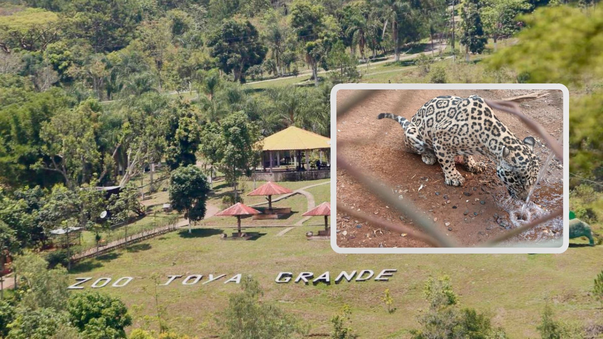 En mayo de 2024 ocurrió la intervención del Zoológico Joya Grande para rescatar animales abandonados.