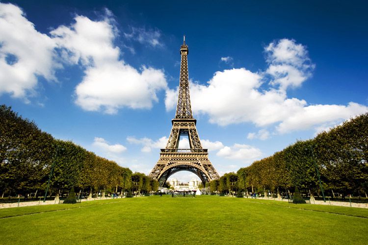 Ratas en París