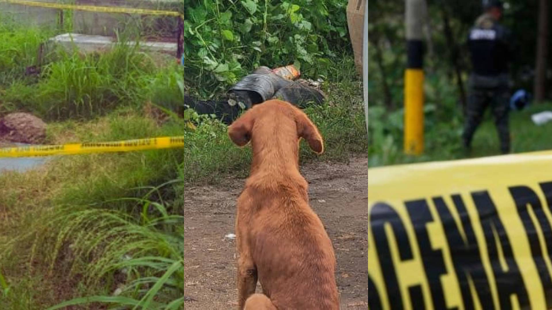 Domingo mortal en Honduras deja más al menos siete víctimas