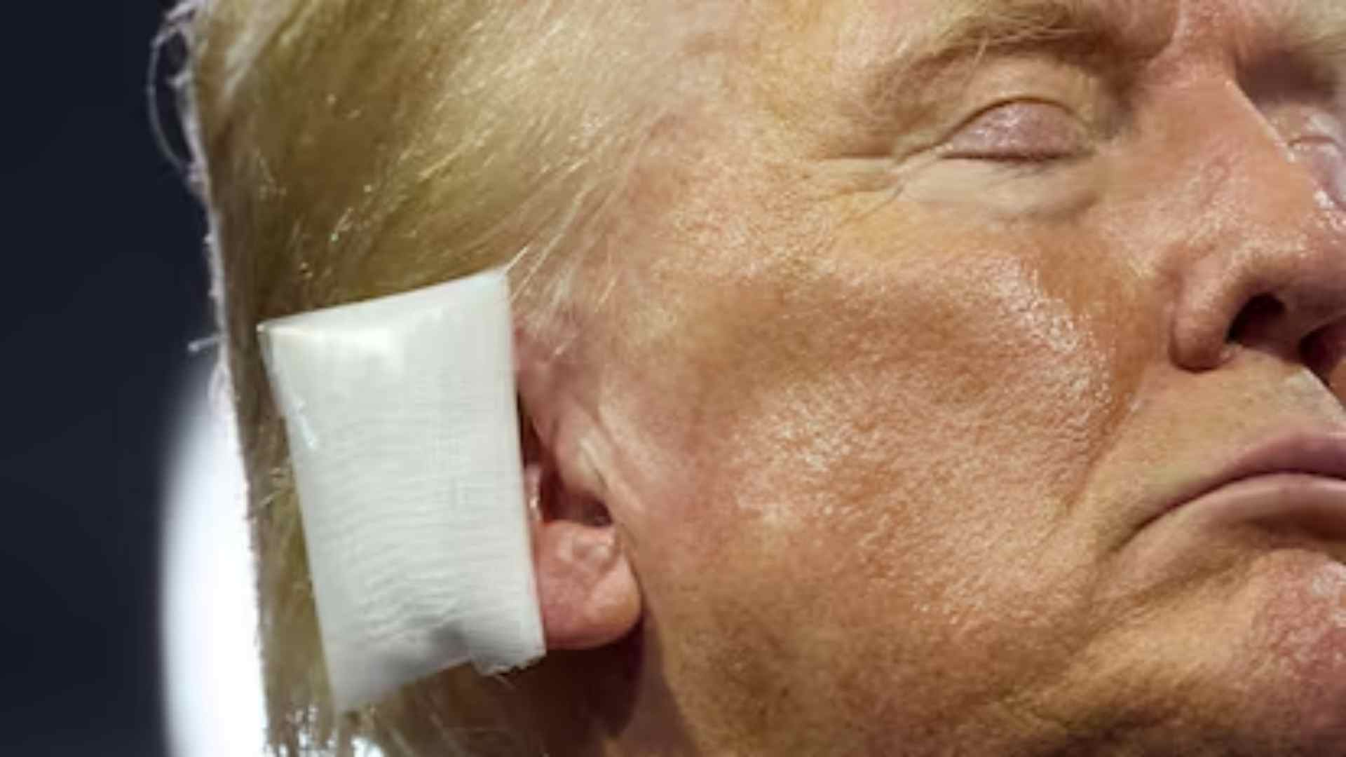 Teorías conspirativas inundan las redes sobre atendado contra Donald Trump