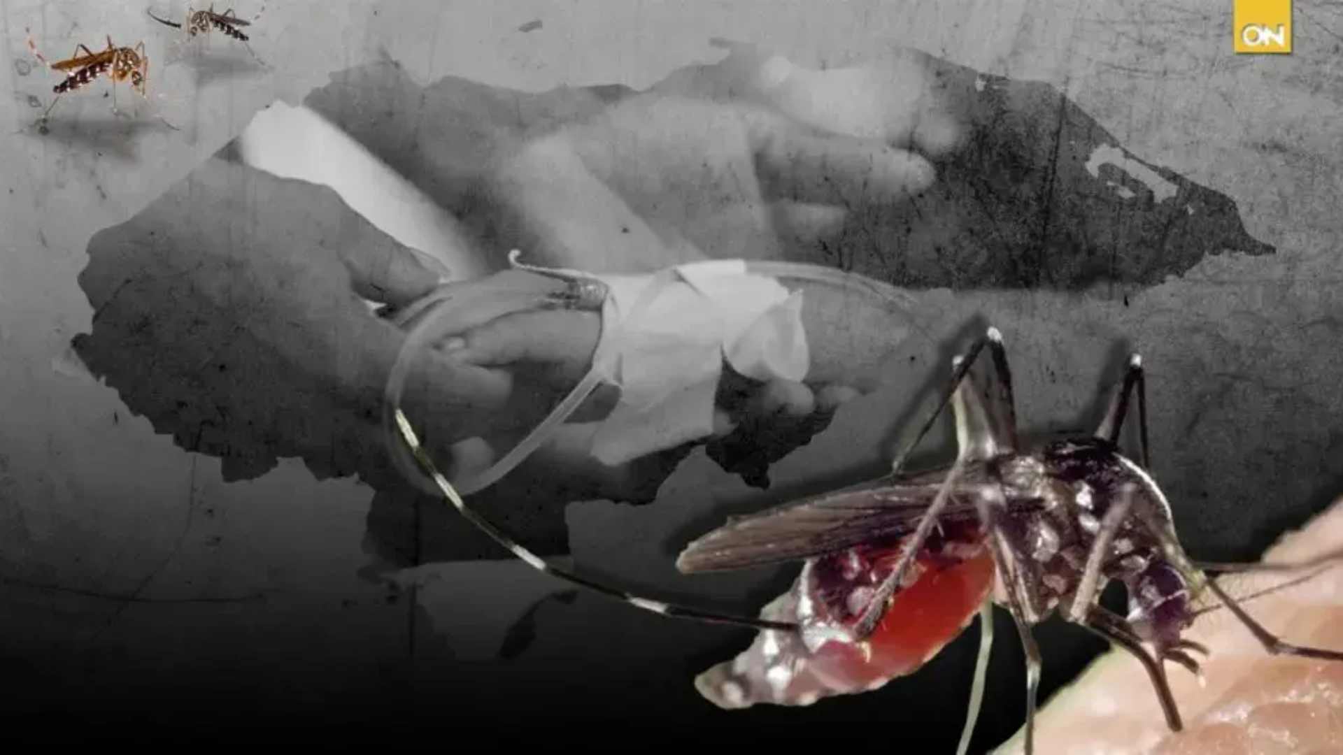 Este años supera cifras de muerte por dengue en Honduras
