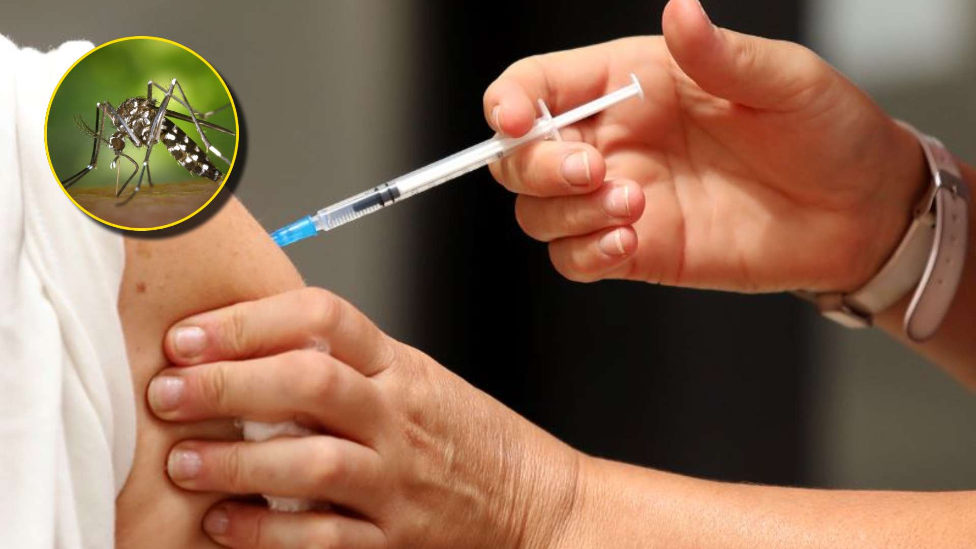 Jornadas de vacunación por dengue en la capital, colonias aquí