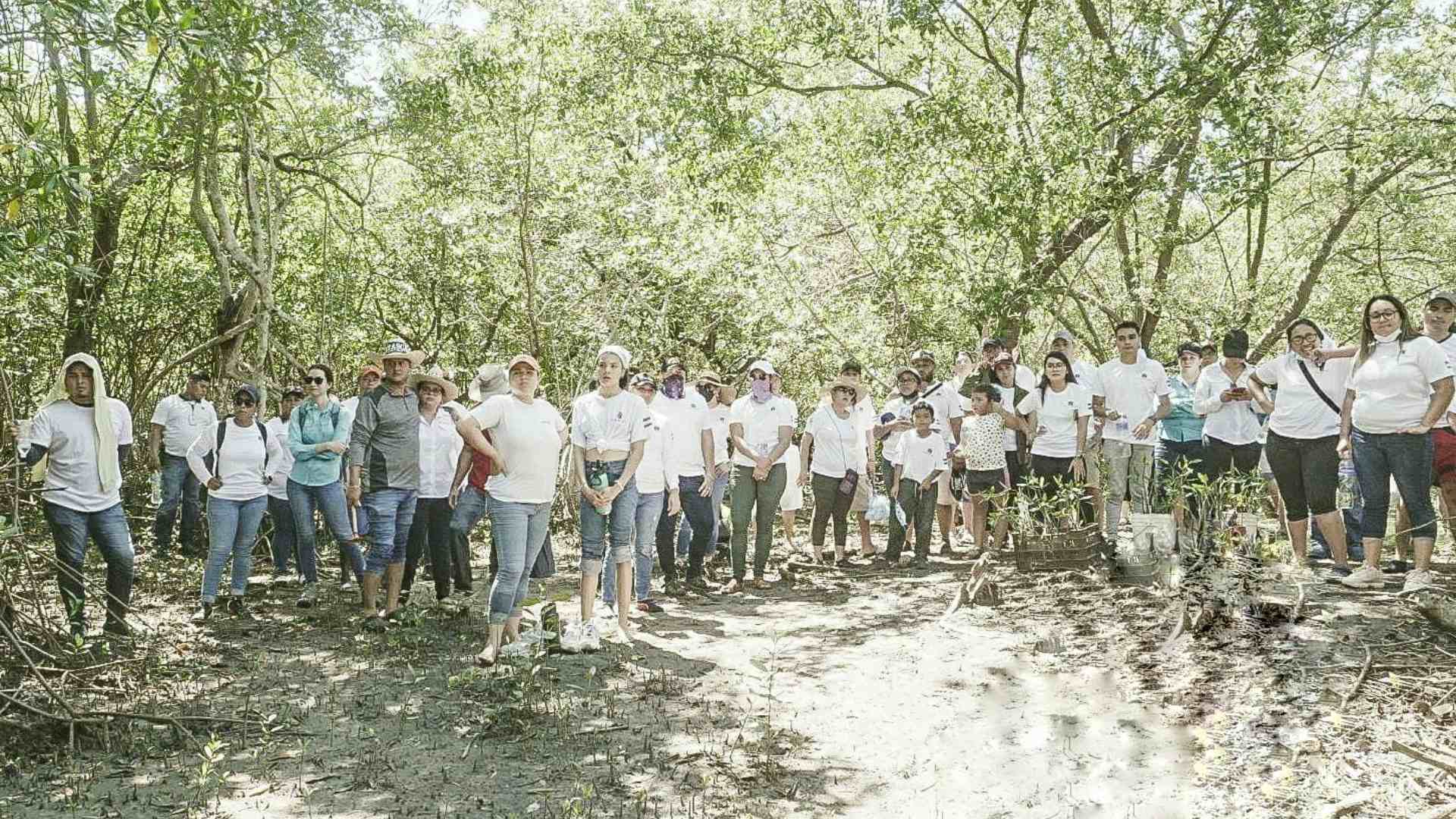 Davivienda celebra Día Internacional de los Manglares