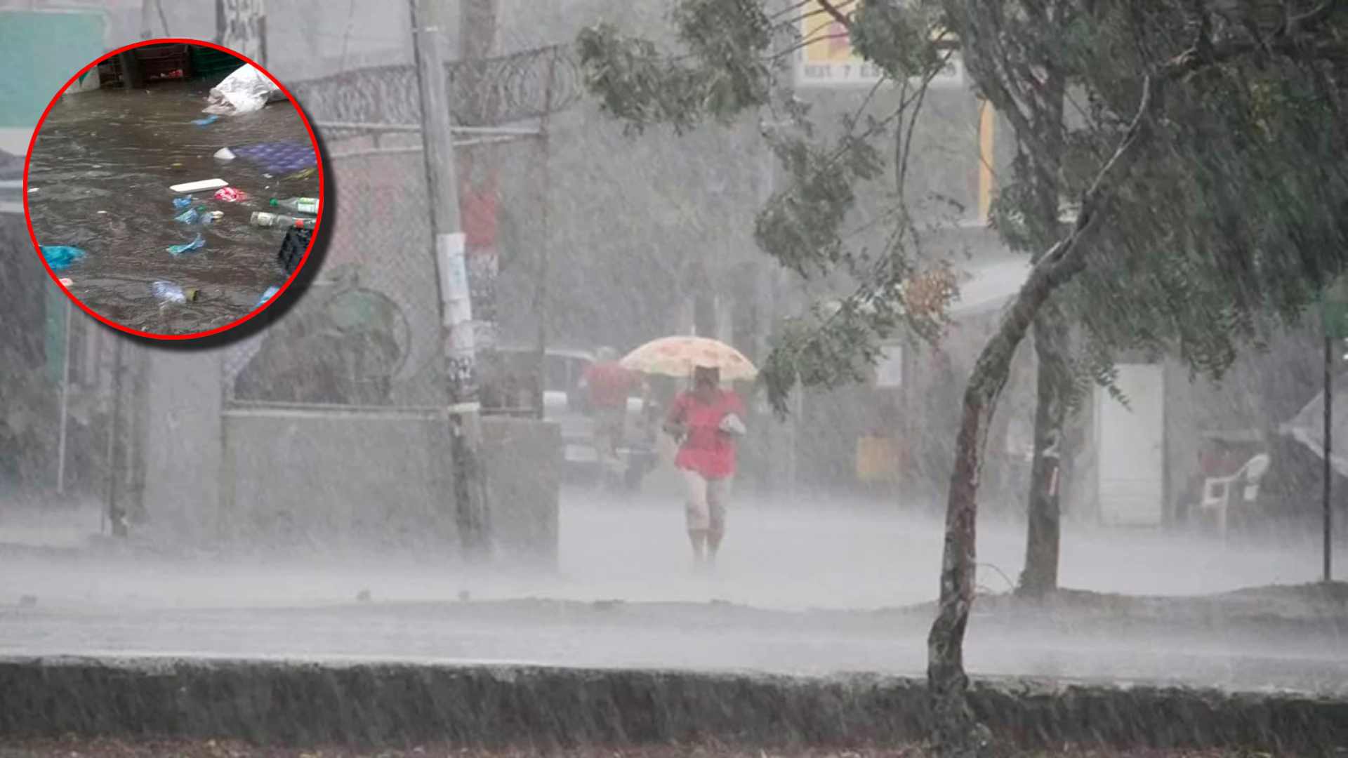 AMDC brinda recomendaciones para prevenir incidencias durante temporada lluviosa ☔