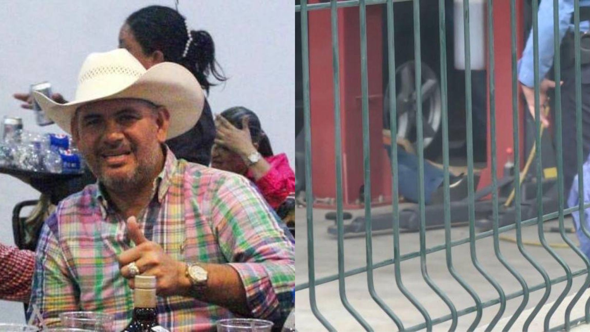 Napoleón Zelaya herencia