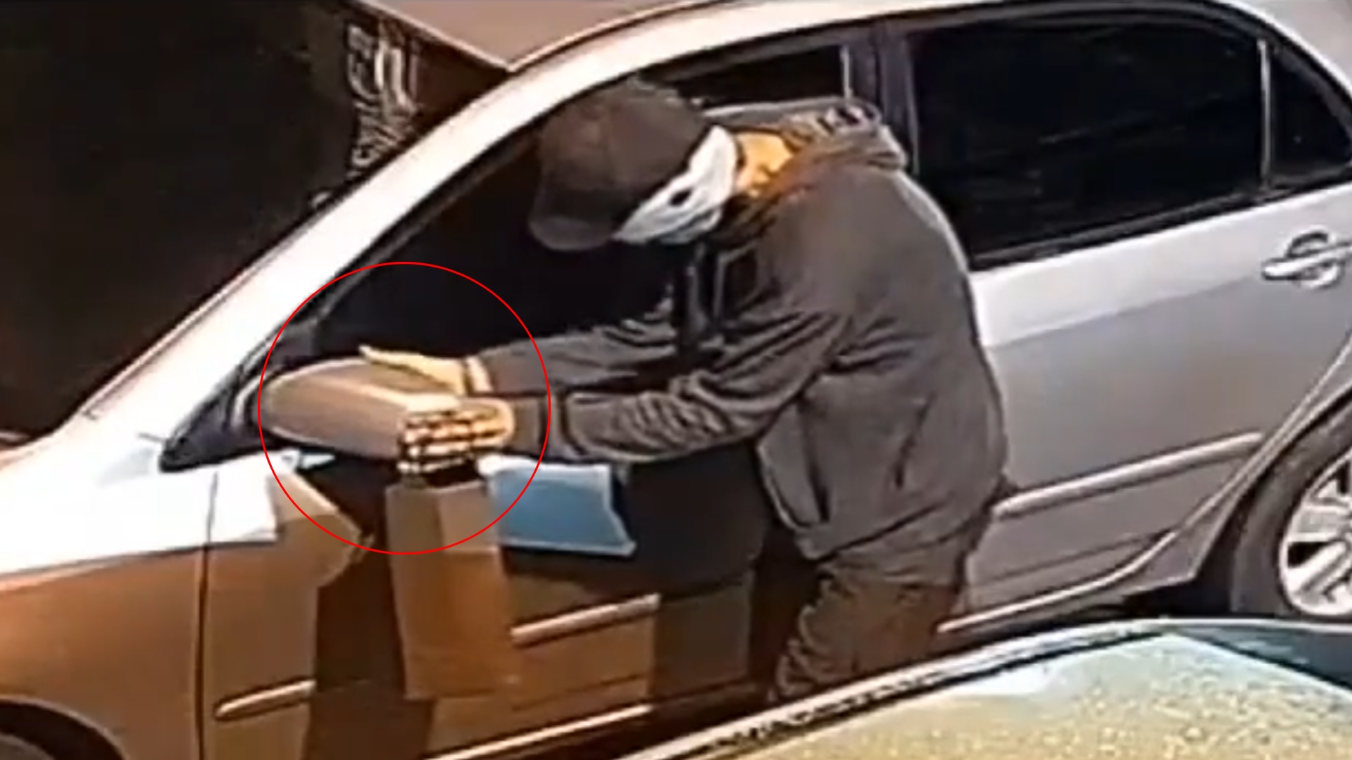 Ladrón en La Pradera