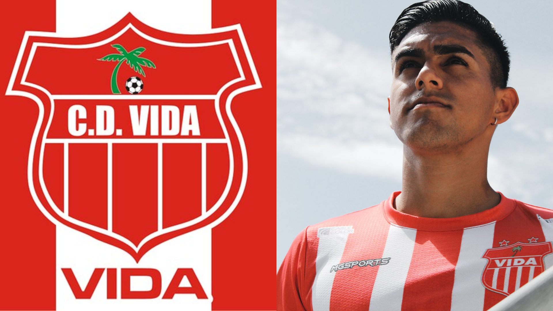 Club Vida