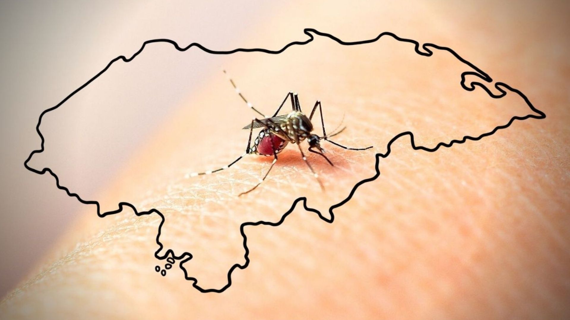 dengue en Honduras