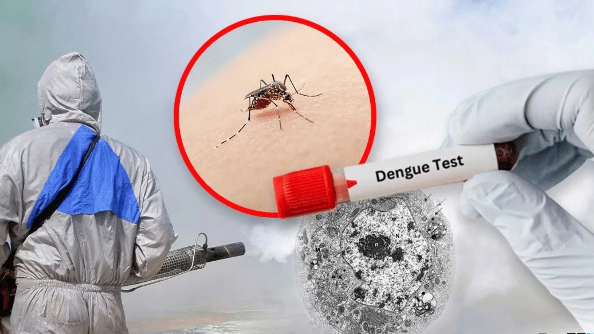 Dengue en Honduras