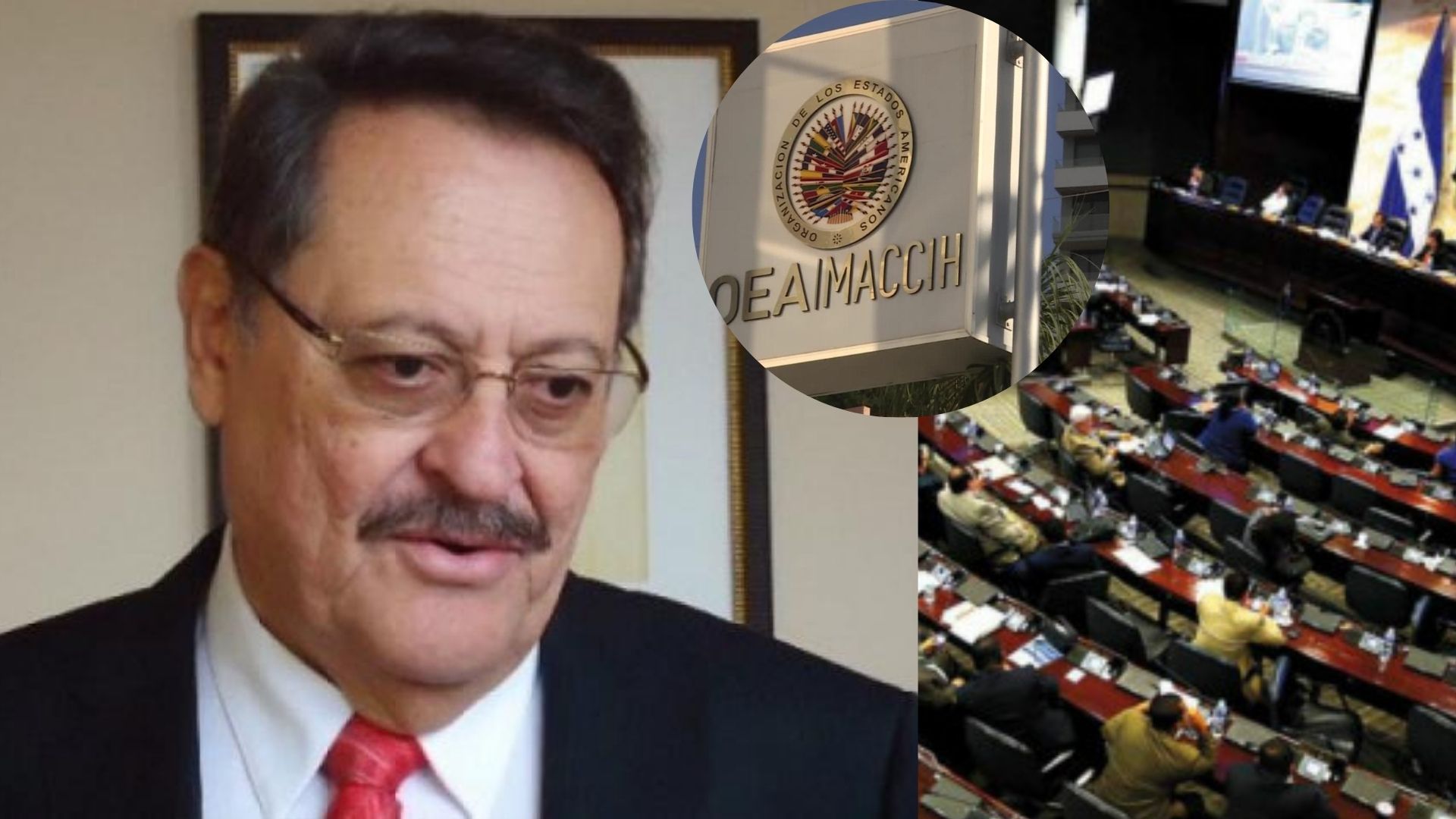Exfiscal general denuncia reelección de diputados