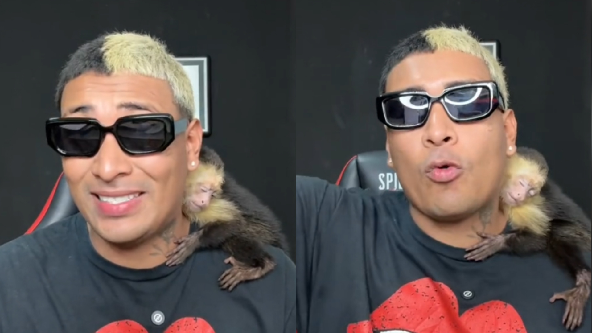 Supremo vive con un mono