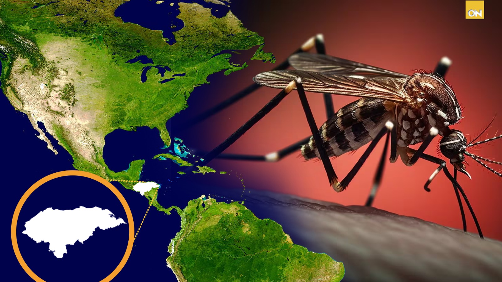 Honduras, ¿es el país con más casos de dengue en América?