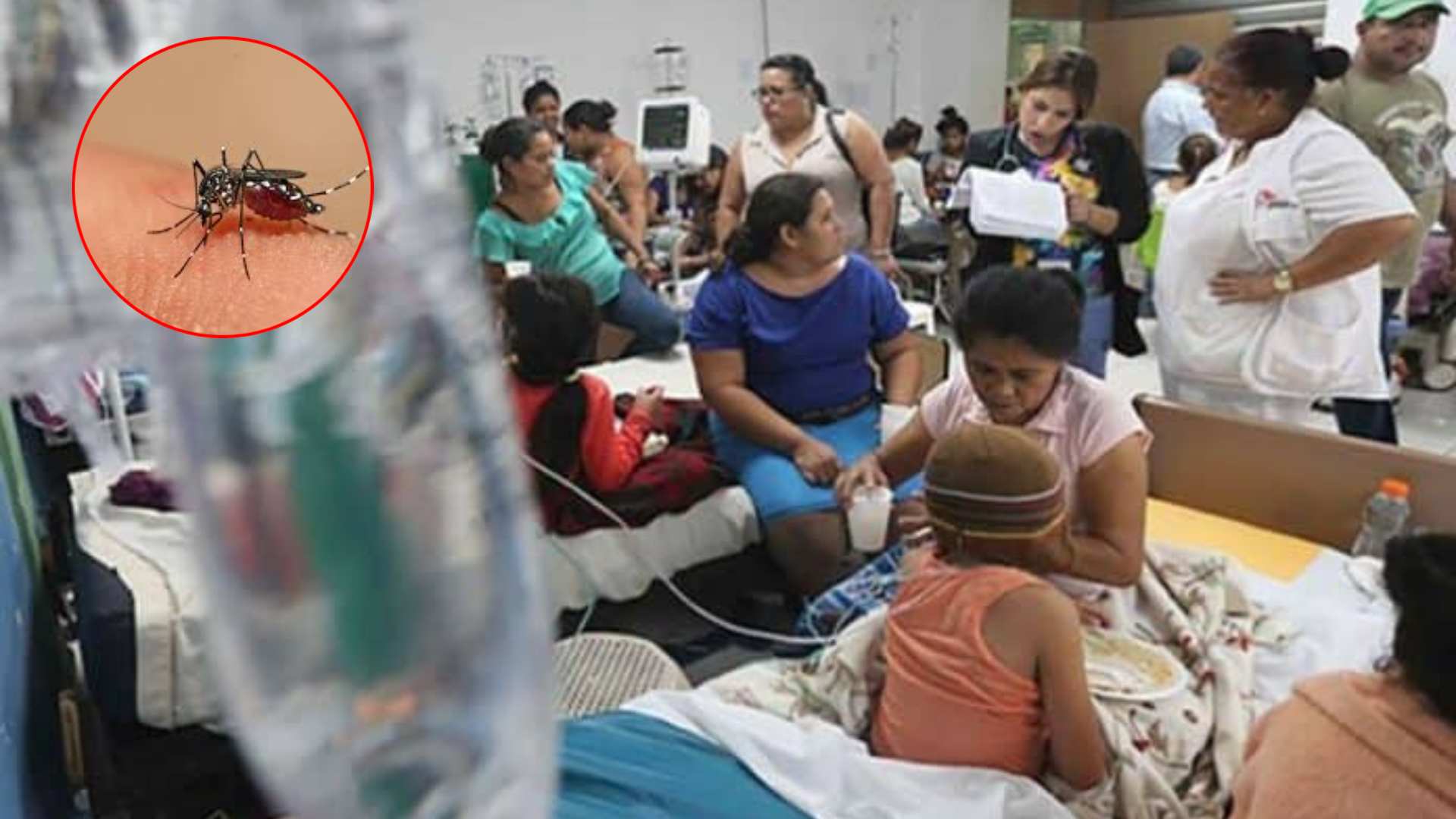 dengue