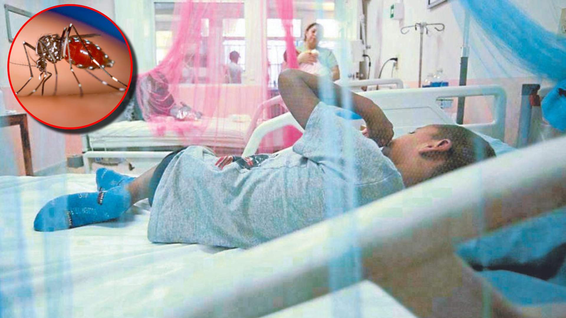 Aumentan las muertes por sospecha de dengue en Honduras