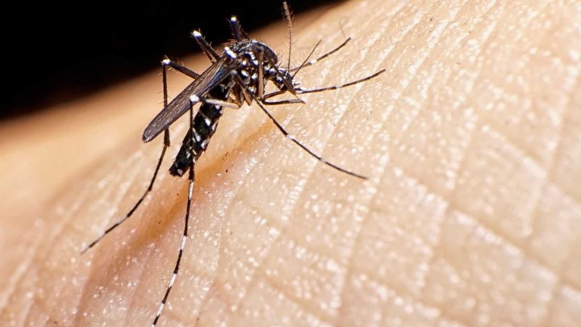 Dengue en Honduras