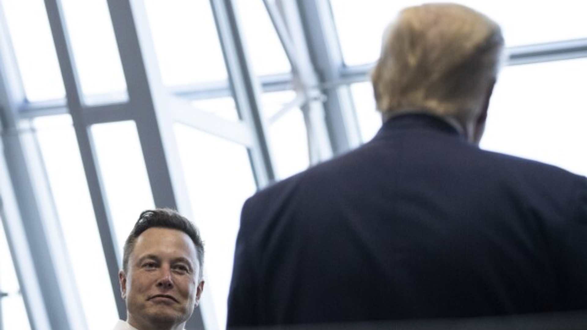 elon musk donald trump