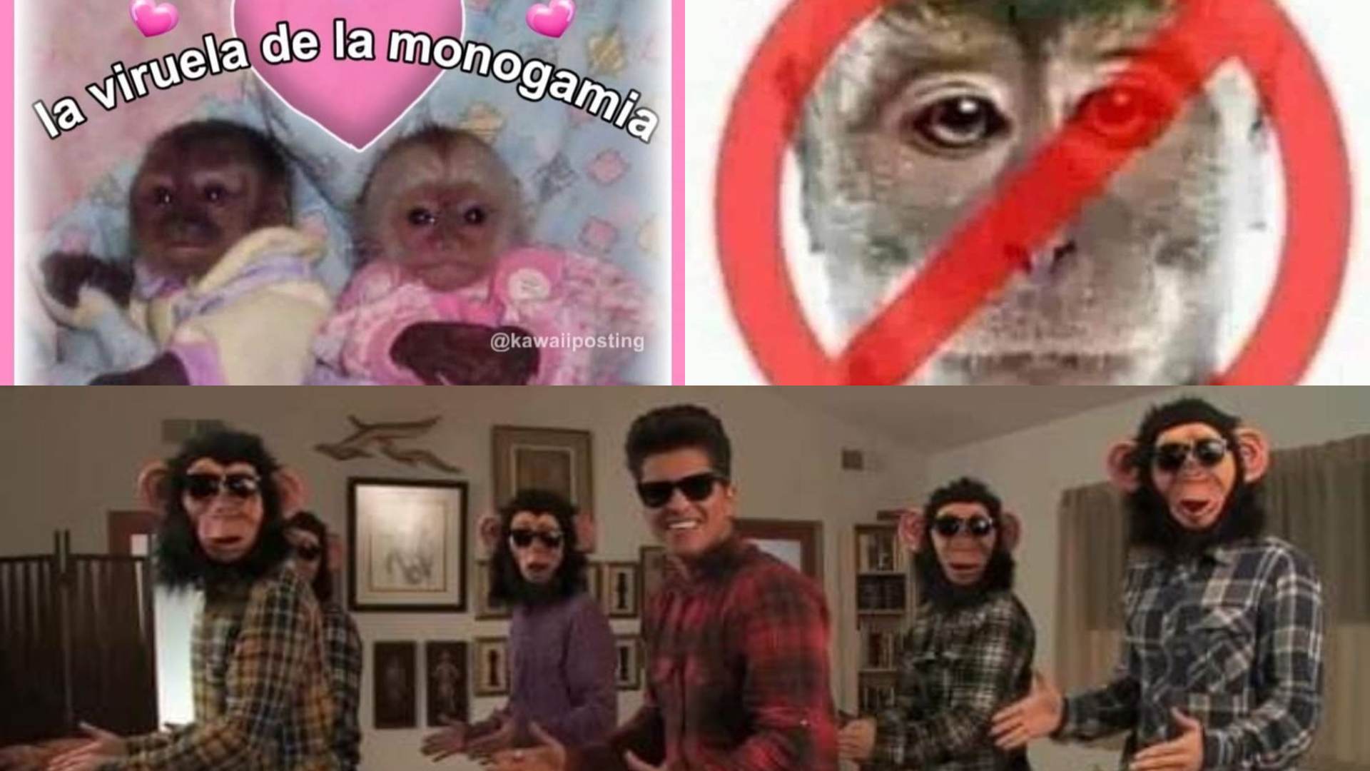 Memes de la viruela del mono; vealos aquí