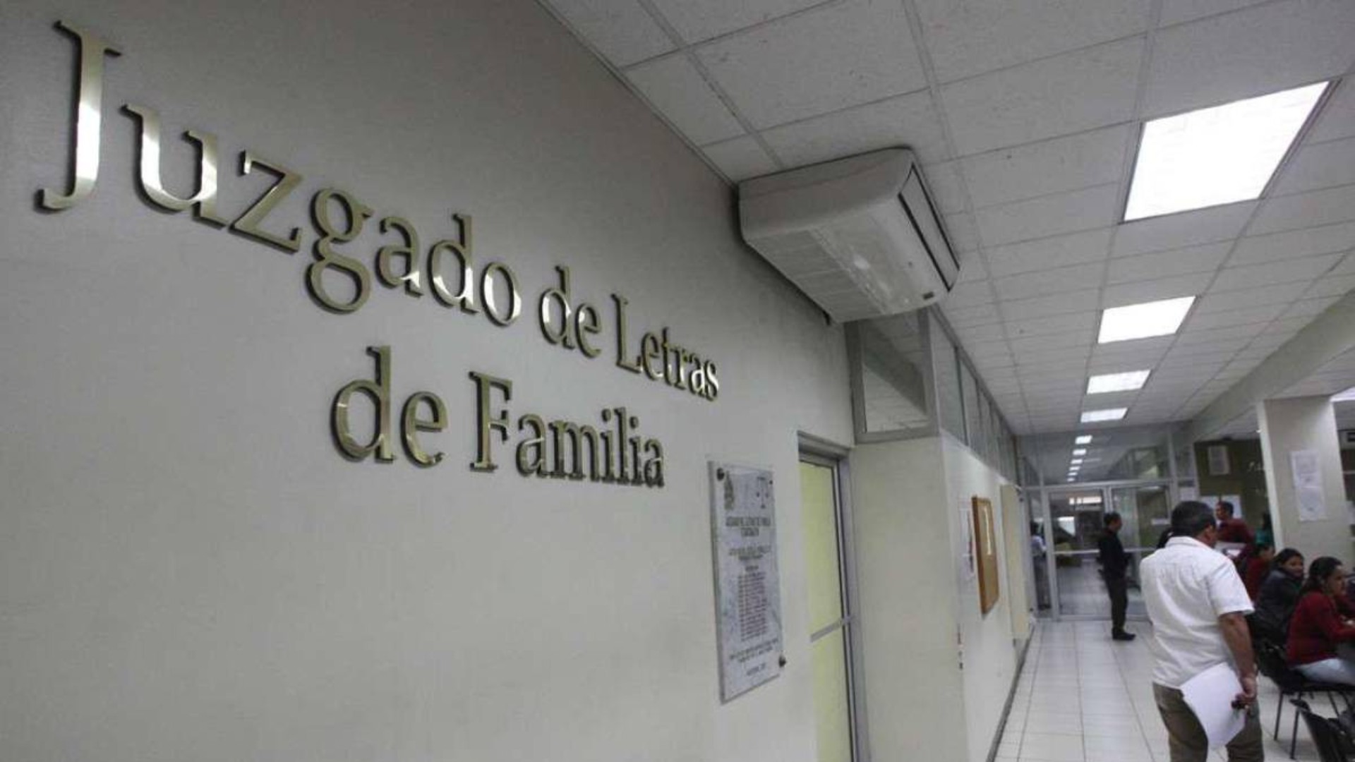 Registro de Deudores Morosos Alimentarios Poder Judicial