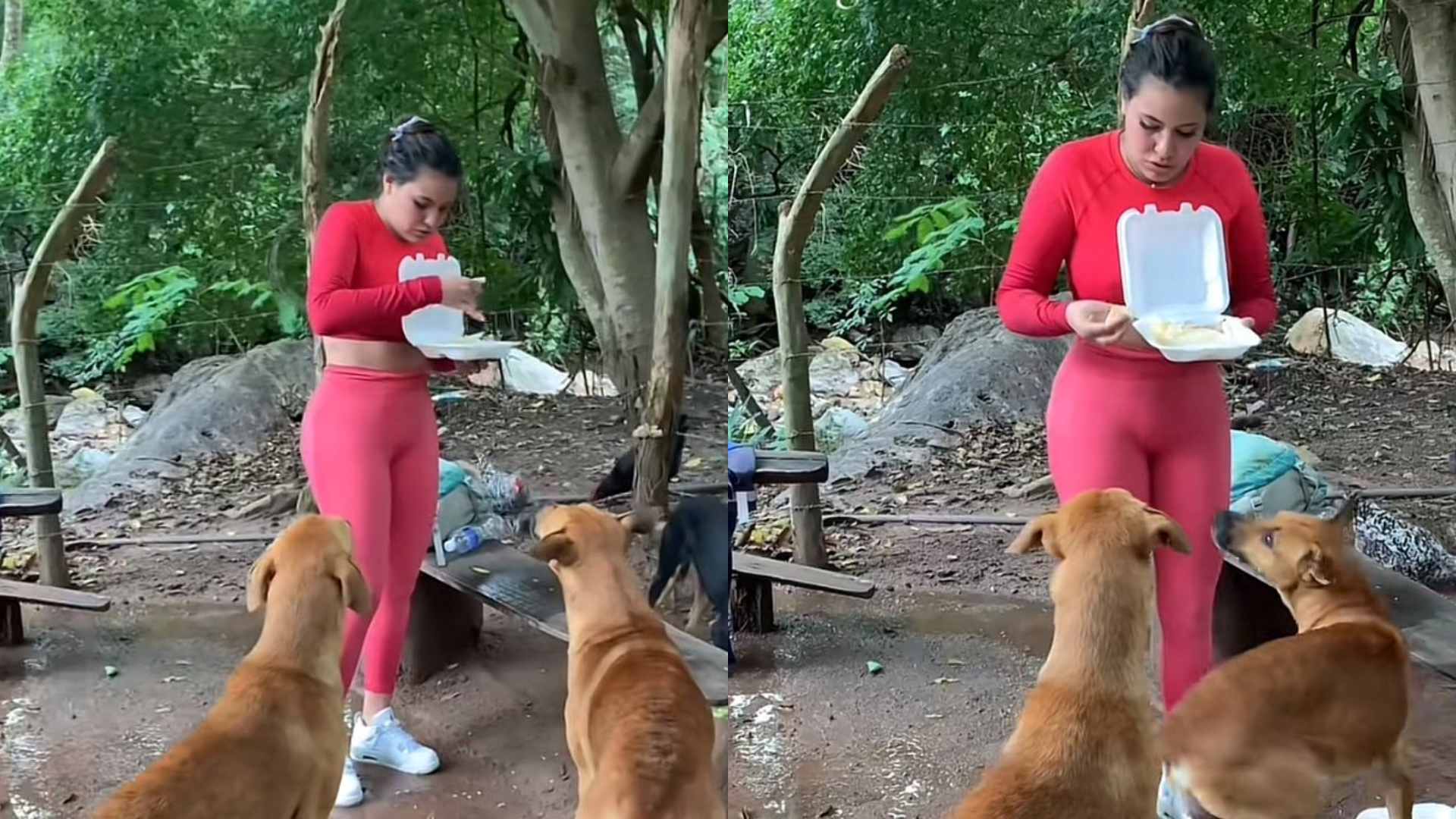 Alejandra Rubio
