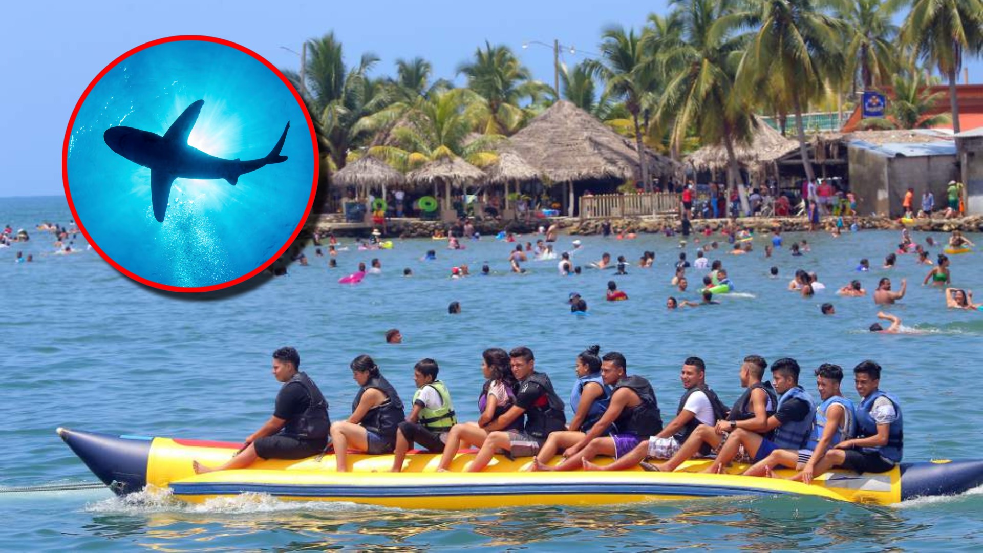 Tiburón Feriado Morazánico 2024