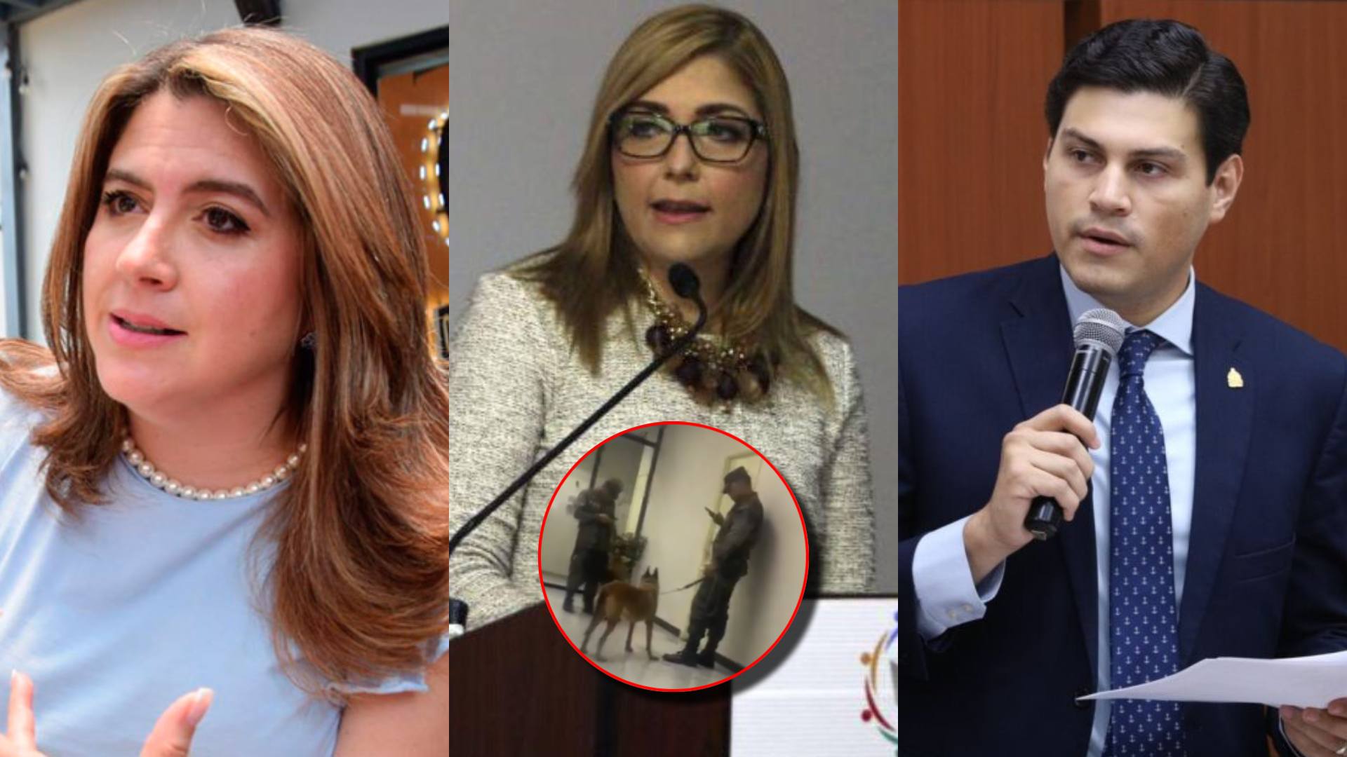 Presidencia del CNE envuelta en tensión con perros antibombas