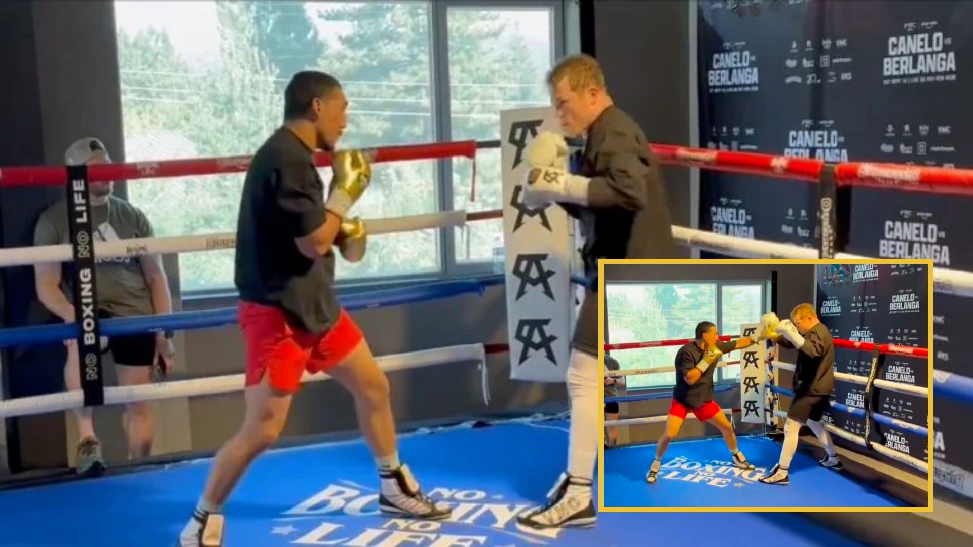 Canelo Álvarez prepara pelea ante Berlanga entrenado junto a Teófimo López