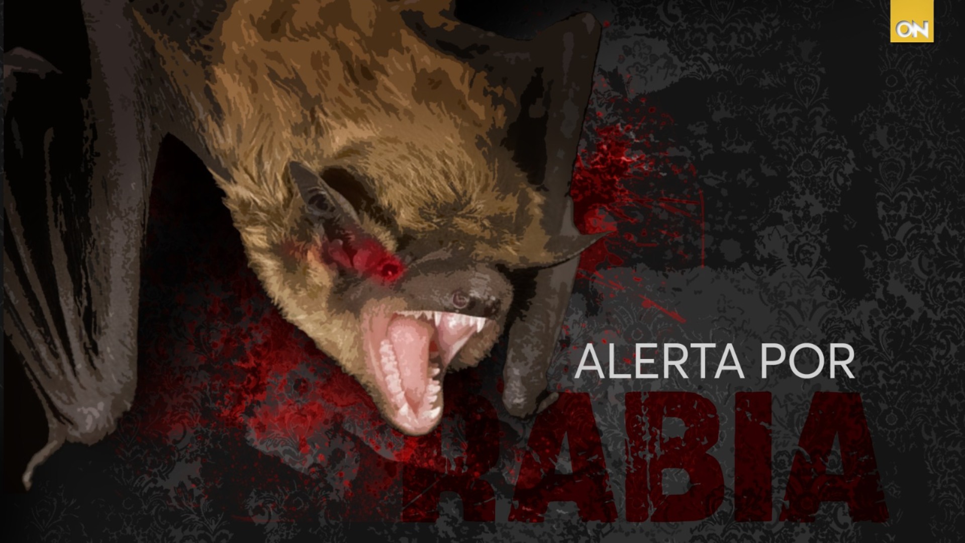 rabia humana en Honduras