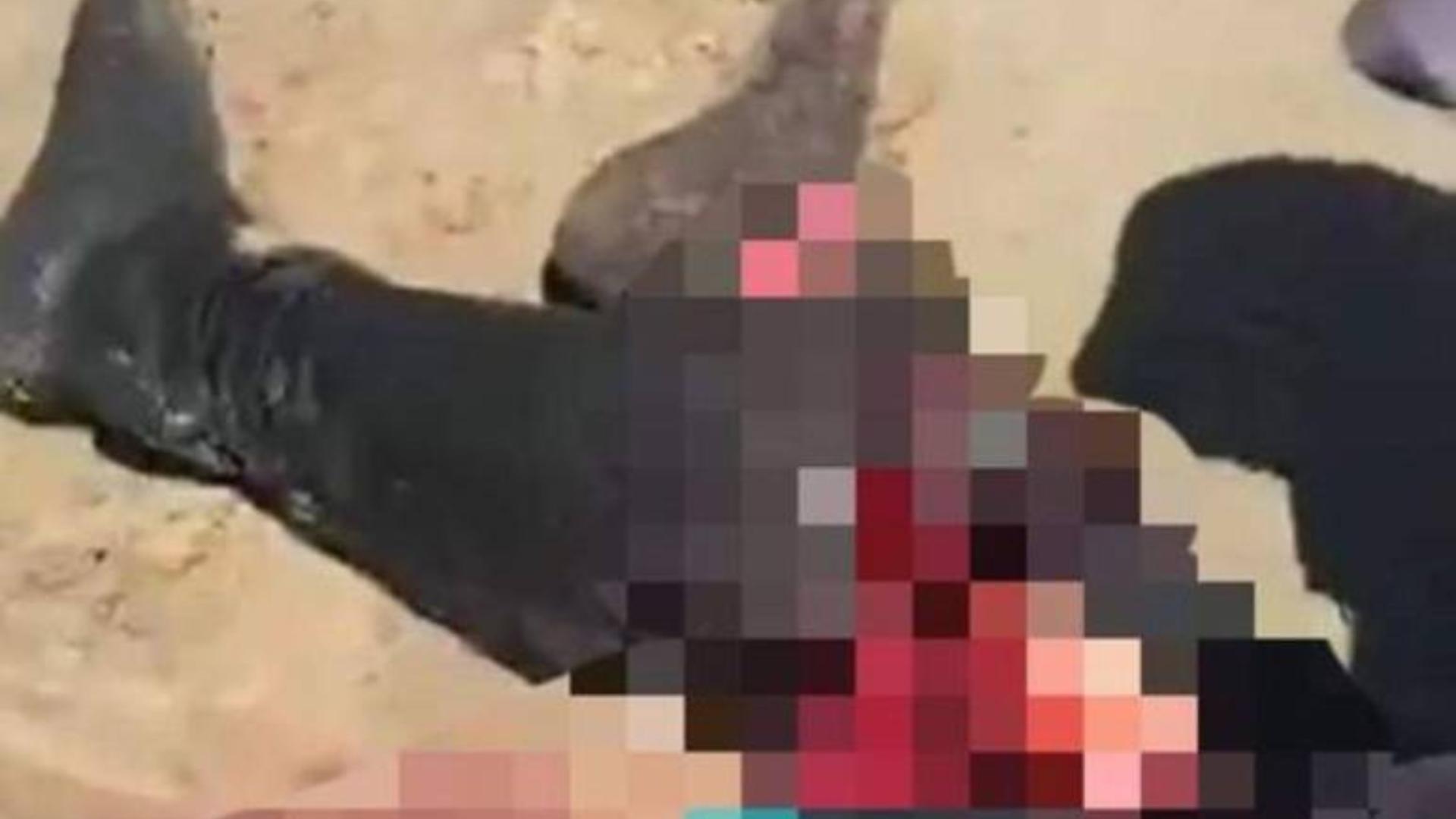 Ataque de tiburón en Trujillo preocupa previo Semana Morazánica