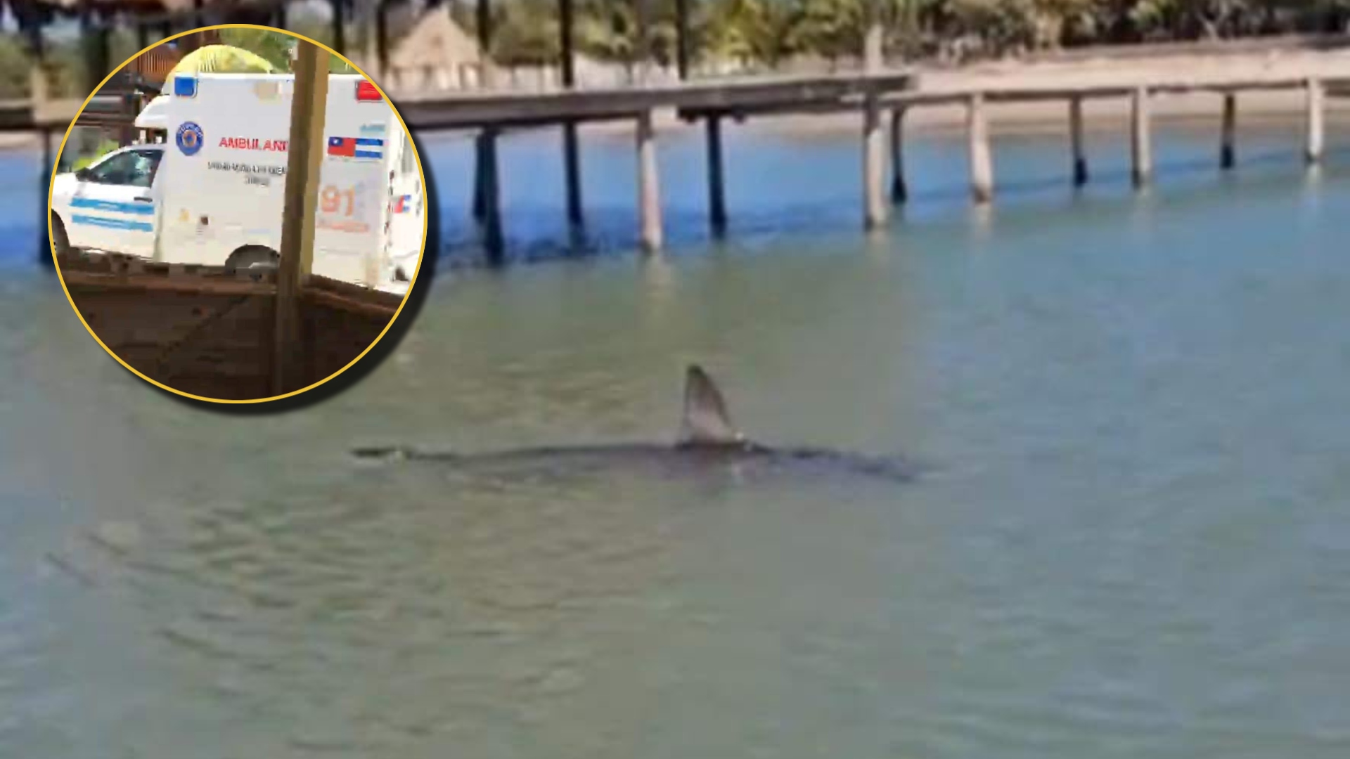 Hombre atacado por tiburón en Trujillo