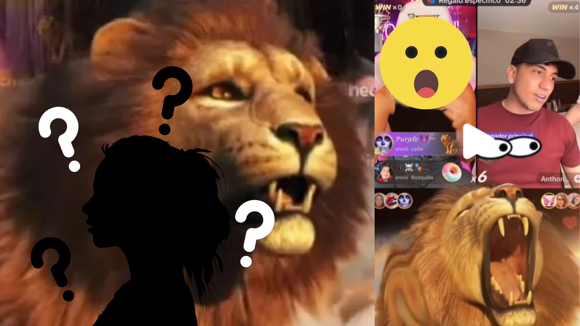 Las transmisiones en vivo de los influencers más importantes de TikTok se han comenzado a llenar de leones.