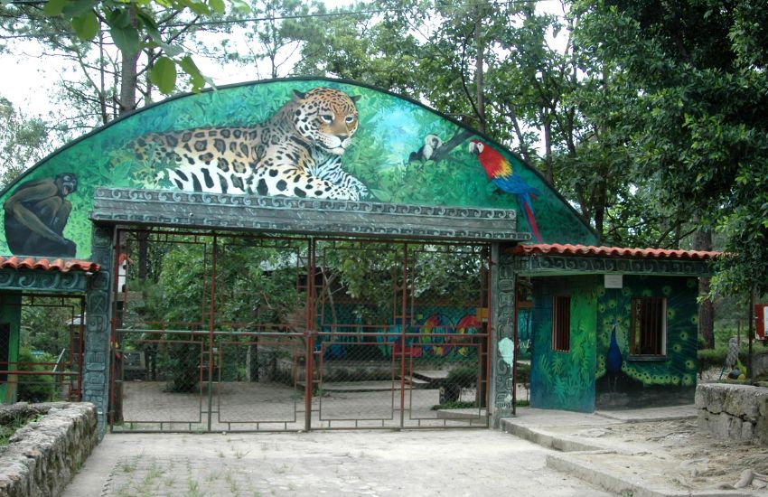 Zoológicos para visitar en Semana Morazánica