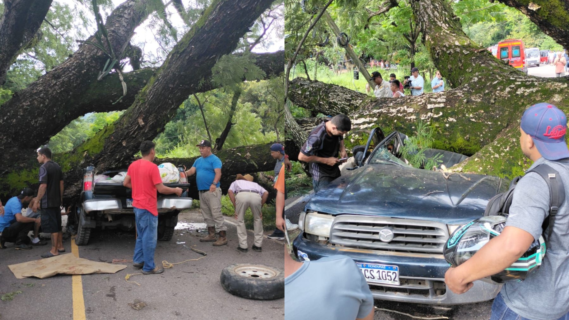 Enorme árbol cae sobre vehículo en carretera hacia El Corpus Choluteca; deja 2 muertos y dos con vida