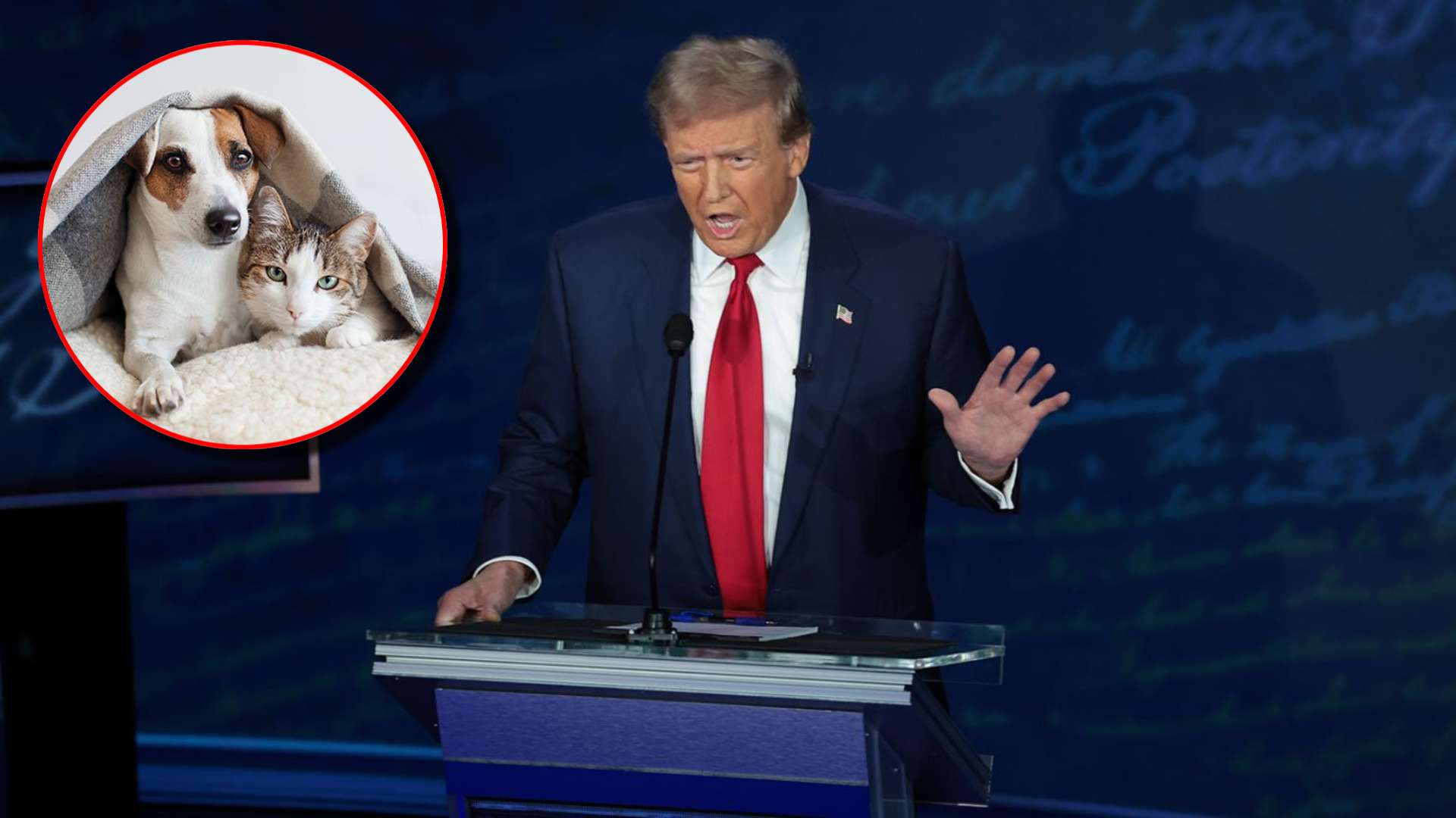 VIDEO| Trump hace comentario polémico en debate: “Migrantes comen perros y gatos”😳