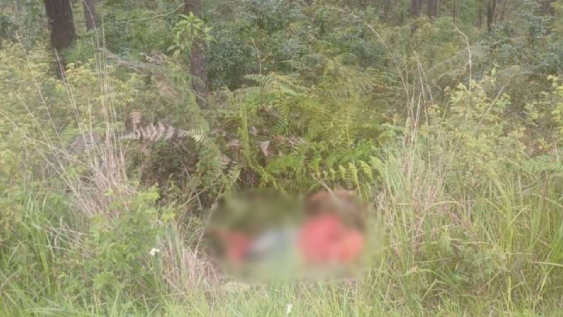 “Regresaron”: Encuentran cadáver encostalado a la altura de Zambrano