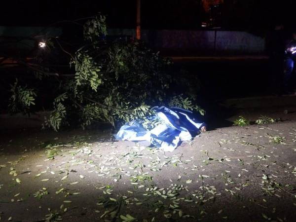 Policía bulevar Fuerzas Armadas