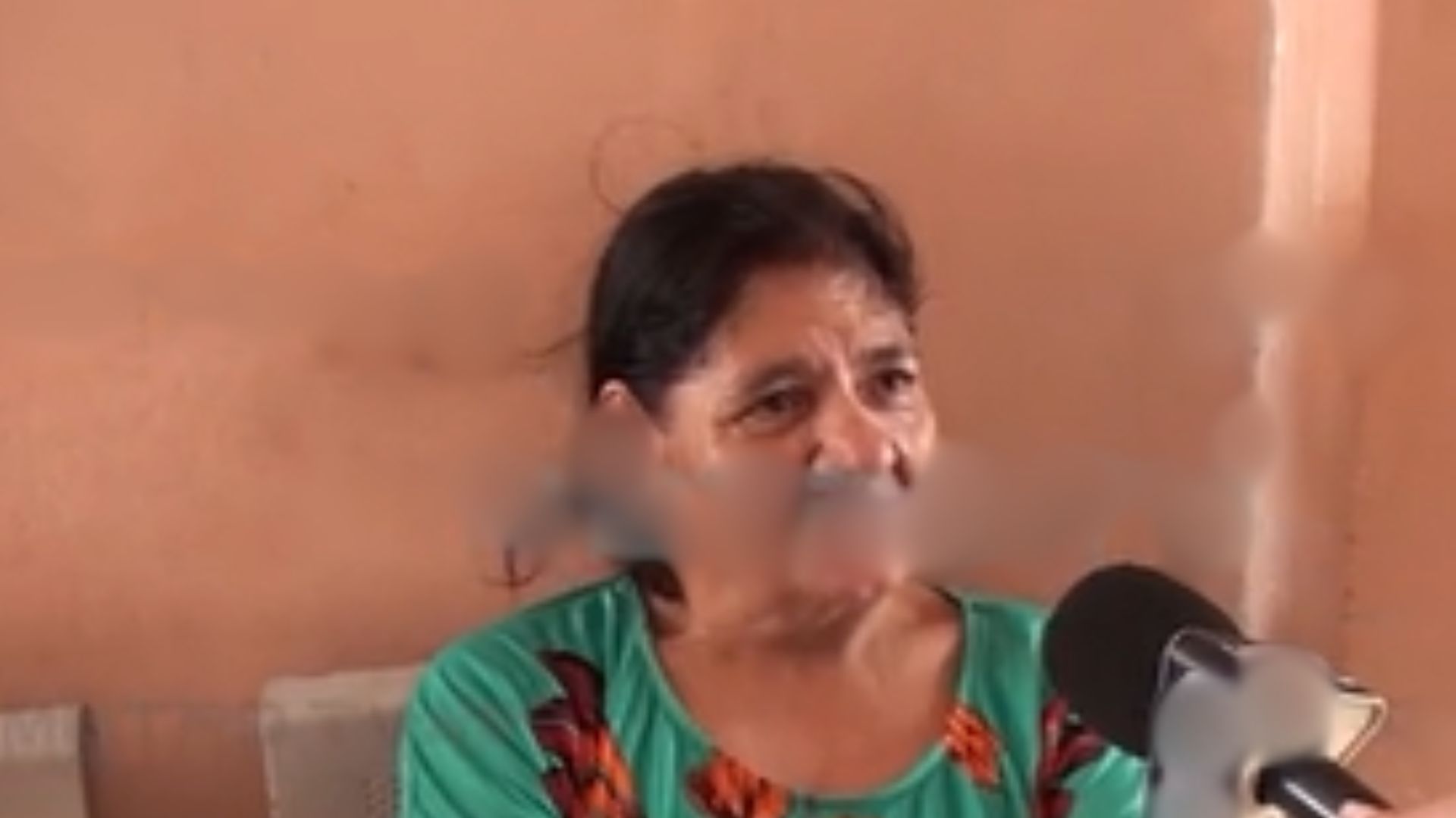 Hondureña detenida