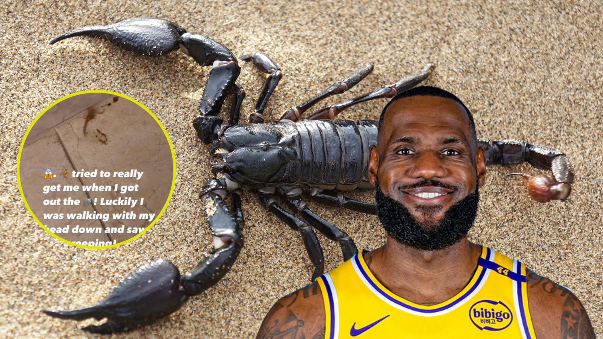LeBron James